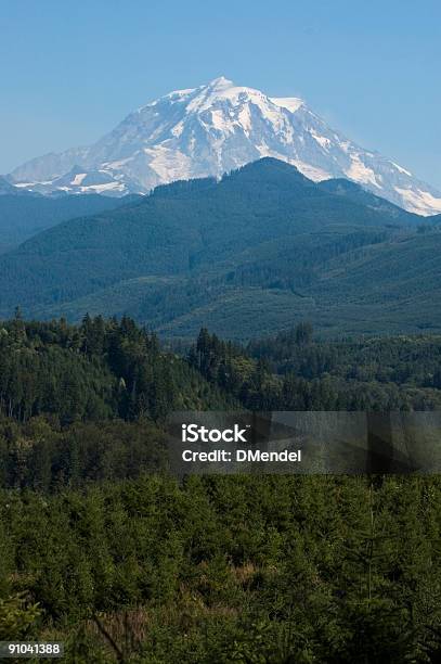 Letni Dzień W Mount Rainier - zdjęcia stockowe i więcej obrazów Bez ludzi - Bez ludzi, Chmura, Drzewo