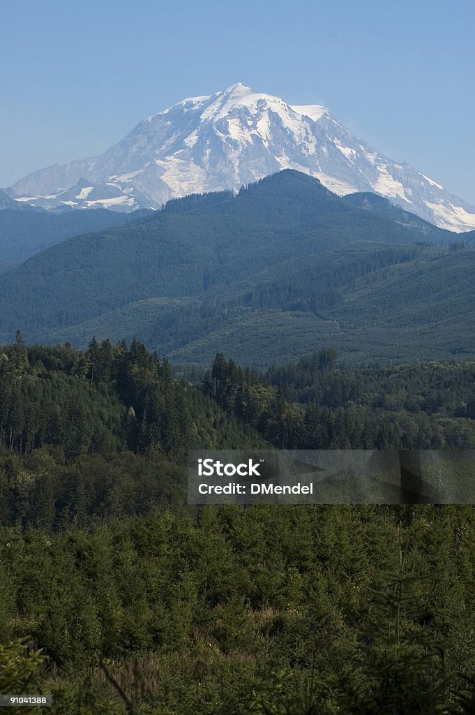 Dia de verão no Mount Rainier - Foto de stock de Afiado royalty-free