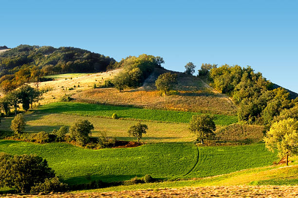 istock colorful yellow an green hill landscape 91041539