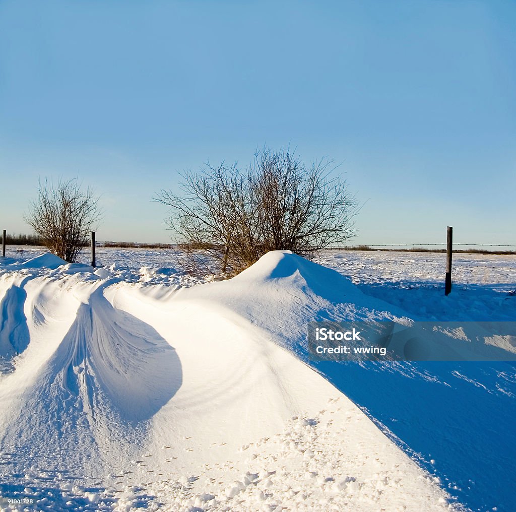 Schnee fährt und Diamond Willow - Lizenzfrei Blau Stock-Foto