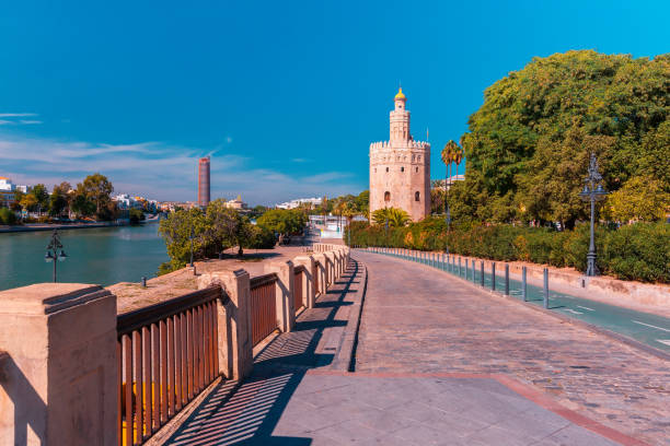 torre del oro nella giornata di sole a siviglia, spagna - seville sevilla torre del oro tower foto e immagini stock