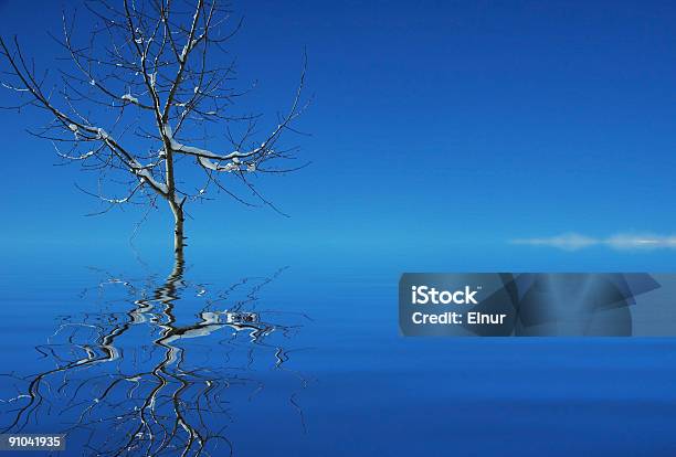 Albero In Acqua E Il Suo Riflesso - Fotografie stock e altre immagini di Acqua - Acqua, Albero, Ambientazione esterna