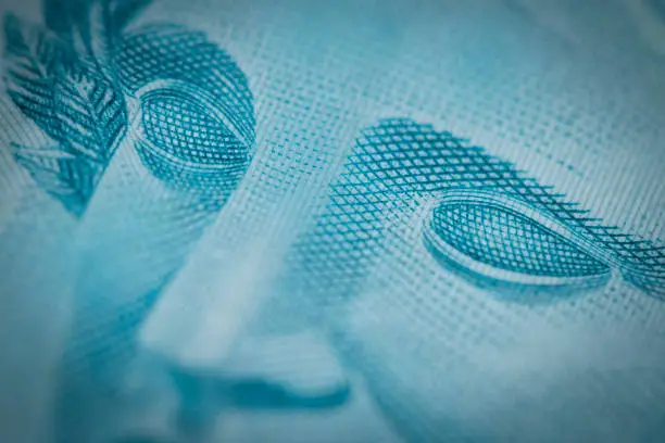 Super macro closeup on Brazilian money one hundred bill. Concept Image