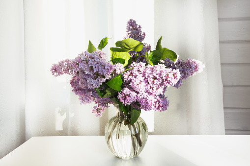 A bouquet of fresh lilacs in a beautiful glass vase on a white table in a village house.