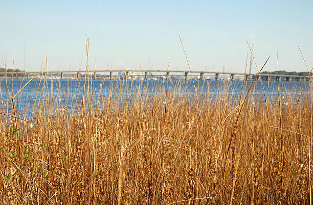 istock View of the bridge 91042985