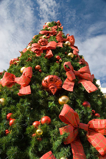 Tall Christmas Tree stock photo