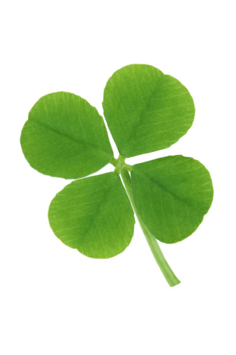 Shamrock symbol for St.Patrick's Day