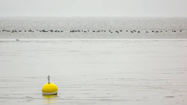 Yellow buoy on the frozen lake Starnberg. Photograph taken near Starnberg, Bavaria, Germany.