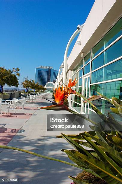 Convention Ctr Stock Photo - Download Image Now - Architecture, Bay of Water, Bird of Paradise - Plant