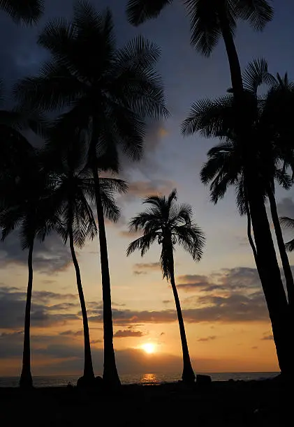 Photo of Hawaiian Sunset