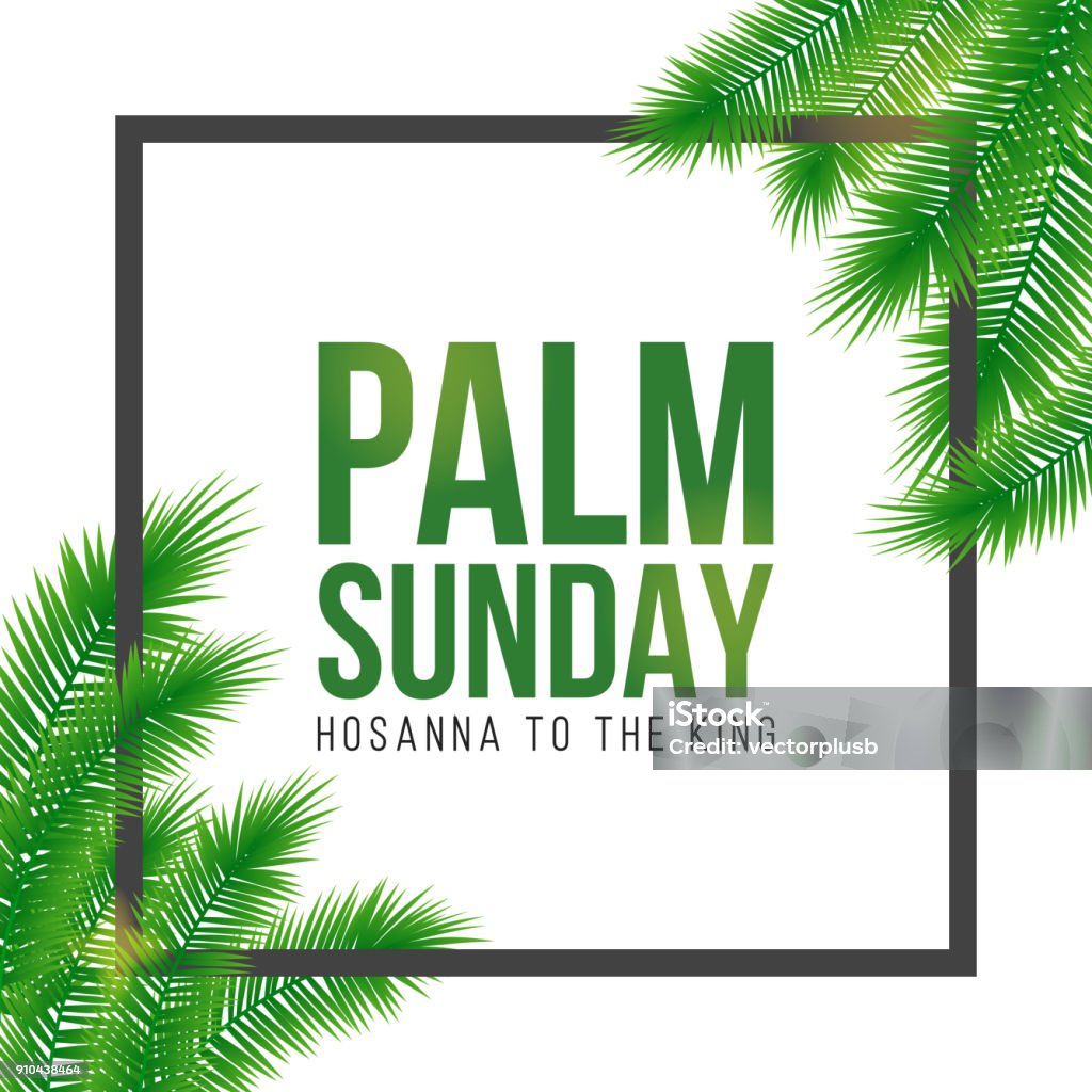 Palm Sunday holiday card, poster with palm leaves border, frame. Vector background Palm Sunday holiday card, poster with realistick palm leaves border, frame. Vector background. Palm Sunday stock vector