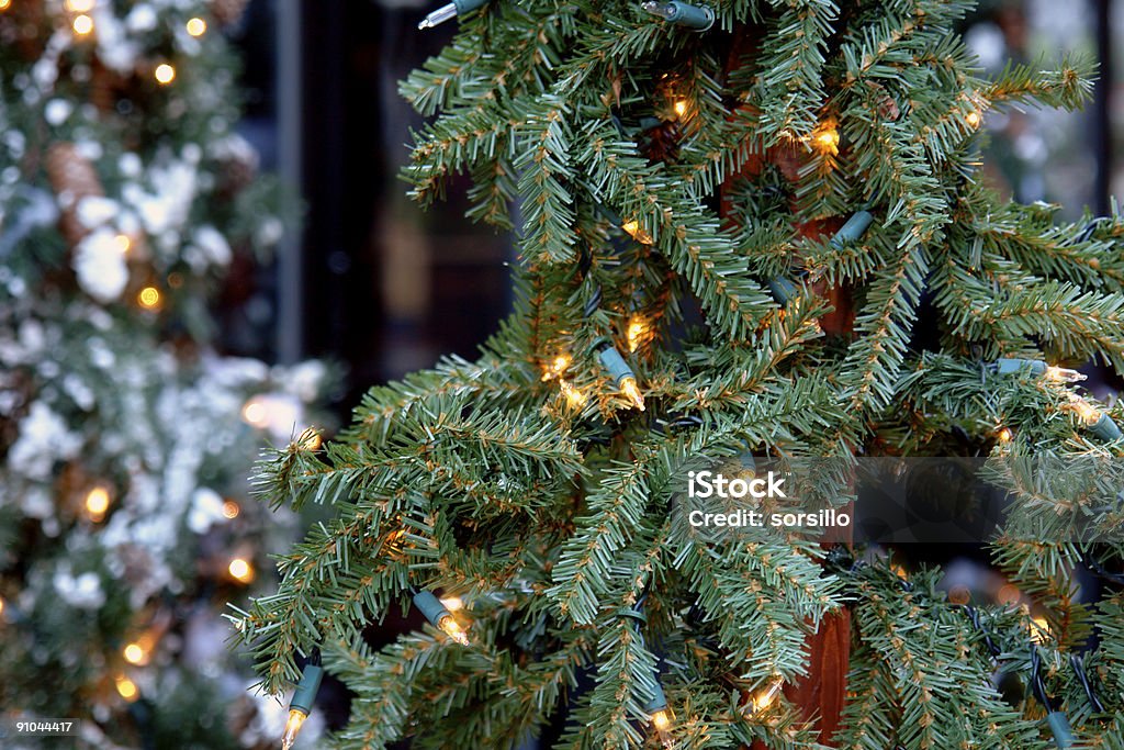 Albero di Natale con luci - Foto stock royalty-free di Albero di natale
