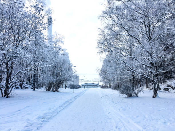 Winter wonderland landscape from Kuopio, Finland, January 2019. In this photo you can see frozen lake and park covered with snow, trees with snow on them, some residential buildings and light blue sky