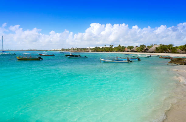 istock Akumal bay beach in Riviera Maya 910447694