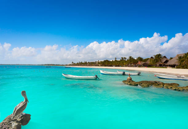 istock Akumal bay beach in Riviera Maya 910448152