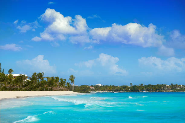 istock Akumal Caribbean beach in Riviera Maya 910448920