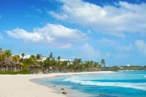 istock Akumal Caribbean beach in Riviera Maya 910449140