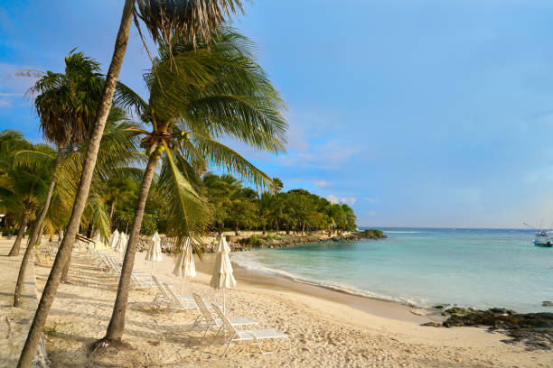 istock Akumal beach in Riviera Maya of Mexico 910456206