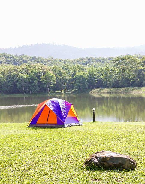 istock Dome tents camping in forest camping site 910456724