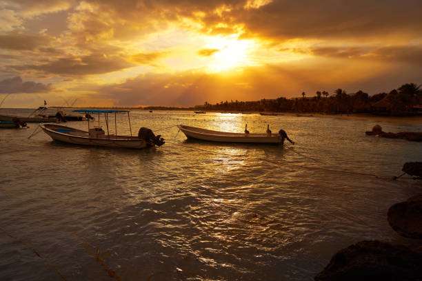 istock Akumal beach in Riviera Maya of Mexico 910456796