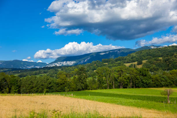 istock Savoy, France 910458250