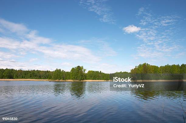 Панорамный Вид На Озеро — стоковые фотографии и другие картинки Без людей - Без людей, Бесконечность, Буш