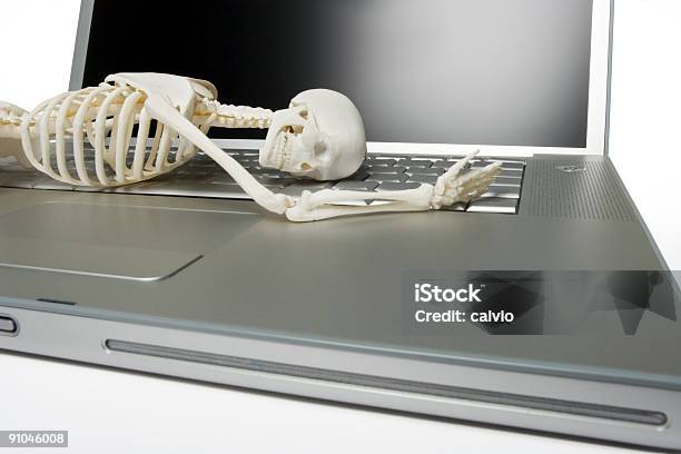 Computer Crime Stock Photo - Download Image Now - Animal Bone, Animal Skeleton, Color Image