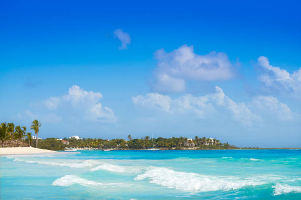 istock Akumal Caribbean beach in Riviera Maya 910460636
