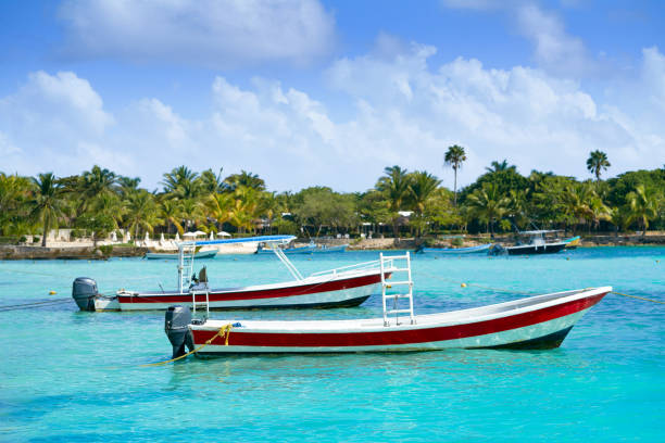 istock Akumal Caribbean beach in Riviera Maya 910460690