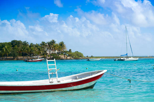 istock Akumal Caribbean beach in Riviera Maya 910460884