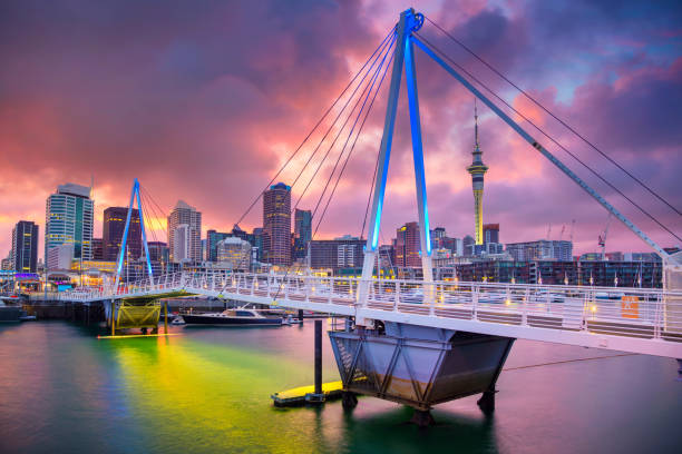 Auckland. Cityscape image of Auckland skyline, New Zealand during sunrise. auckland region photos stock pictures, royalty-free photos & images
