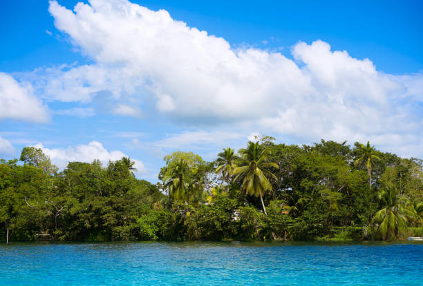 istock Laguna de Bacalar Lagoon in Mayan Mexico 910468420