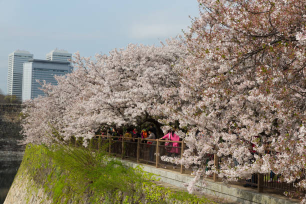 鹿島 アントラーズ ユニフォーム 激安