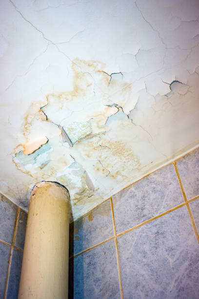 istock Ceiling in need of repair 910473884