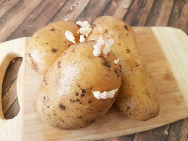 istock sprouted potatoes, wooden 910473934