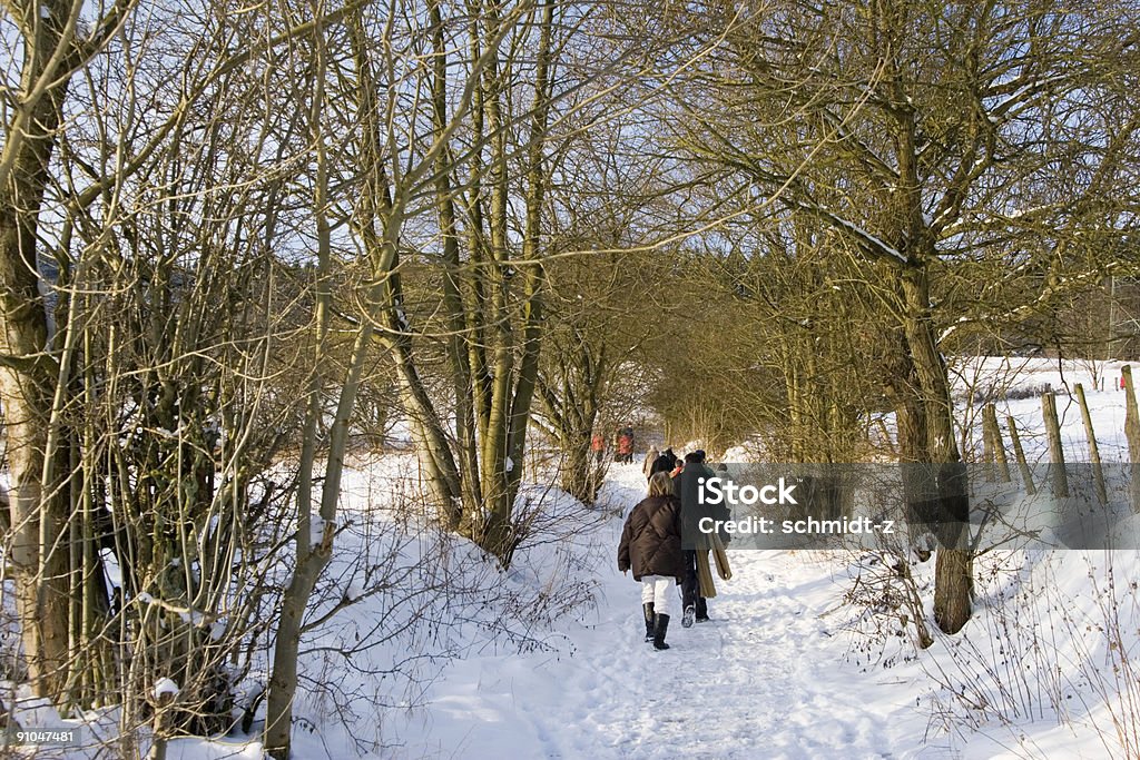Winter zu Fuß - Lizenzfrei Baum Stock-Foto