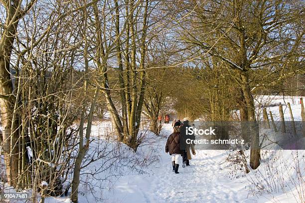 Winter Zu Fuß Stockfoto und mehr Bilder von Baum - Baum, Einspurige Straße, Europäischer Abstammung