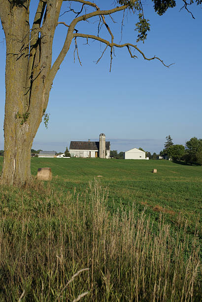 istock Life on the Farm 91047693