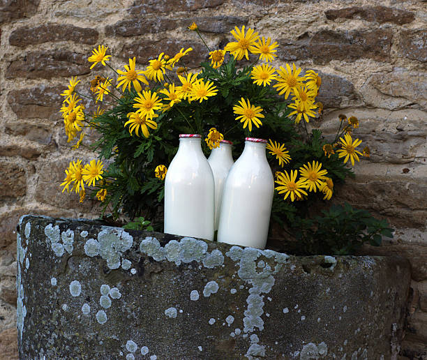 ミルクや花 - milk bottle bottle milk doorstep ストックフォトと画像