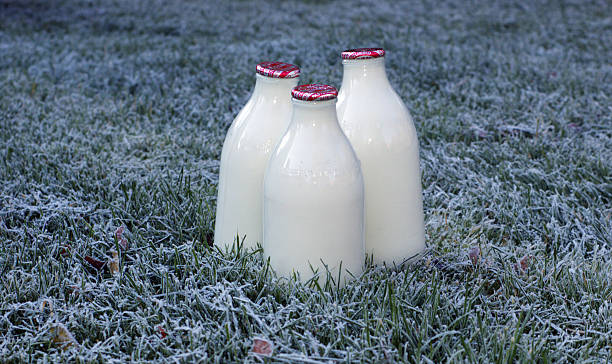 frosty leite - grass area flash imagens e fotografias de stock