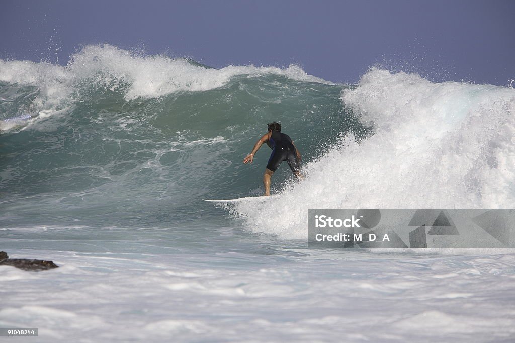 Du surf - Photo de Surf libre de droits