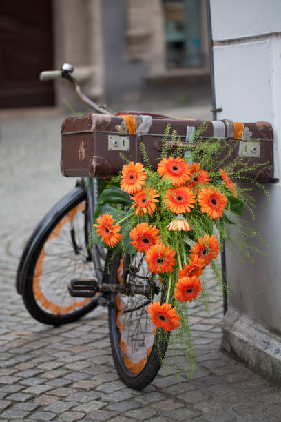 istock flowered retro bicycle decorated with orange flowers, gerberas 910484924