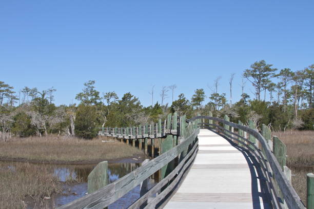 istock Boardwalk over the marsh, Outer Banks, North Carolina 910488192