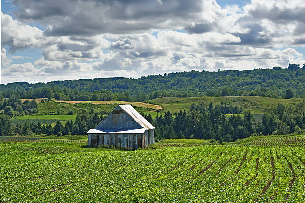 barn and cloudscape stock photo