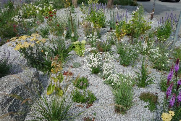 istock Beautiful flower bed with european native plants 910492896