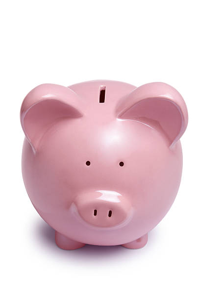 istock Individual pink piggy bank facing camera 91049479