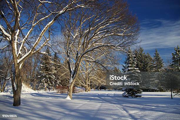 Urban Parque De Inverno - Fotografias de stock e mais imagens de Ao Ar Livre - Ao Ar Livre, Atividade Recreativa, Clima polar