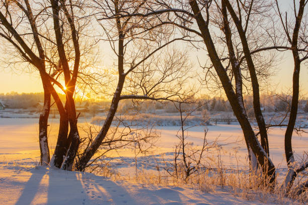 istock winter morning with snow and frost 910499586