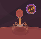 p2-virus.jpg?b=1&s=170x170&k=20&c=qaxsw9EOFB5DuxnD53NaicQWbpYfYBV59_f1pzxFM6M=