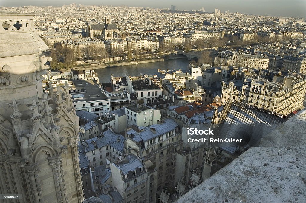 Abyss prawej z tyłu Notre-Dame w Paryżu - Zbiór zdjęć royalty-free (Architektura)